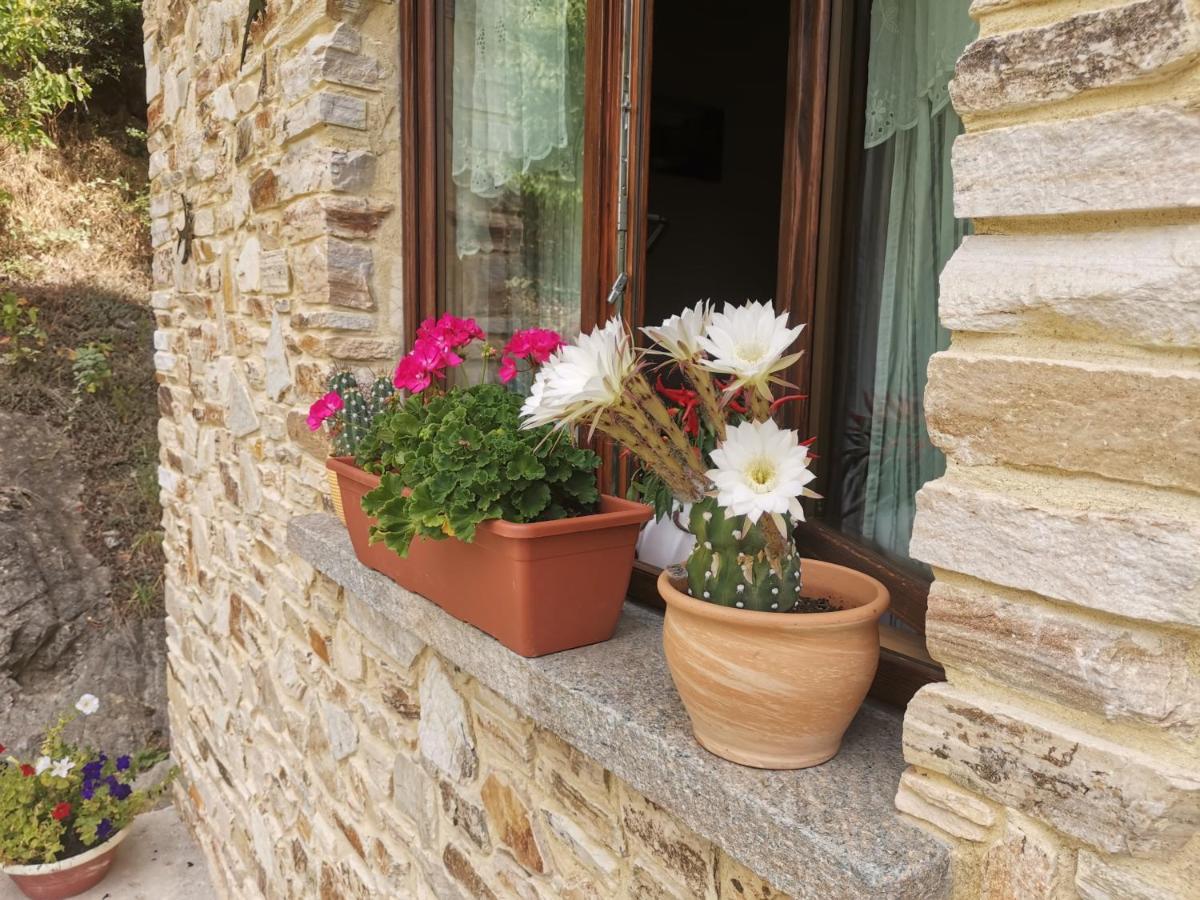 Casa Bella Vista Apartment Villar San Costanzo Екстериор снимка